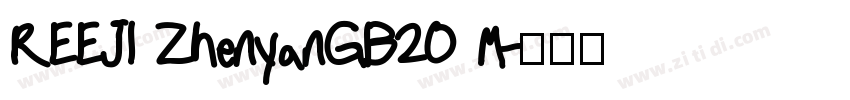 REEJI ZhenyanGB20 M字体转换